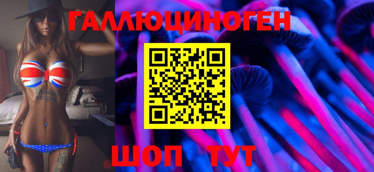 Галлюциногенные грибы Psilocybine cubensis Саратов